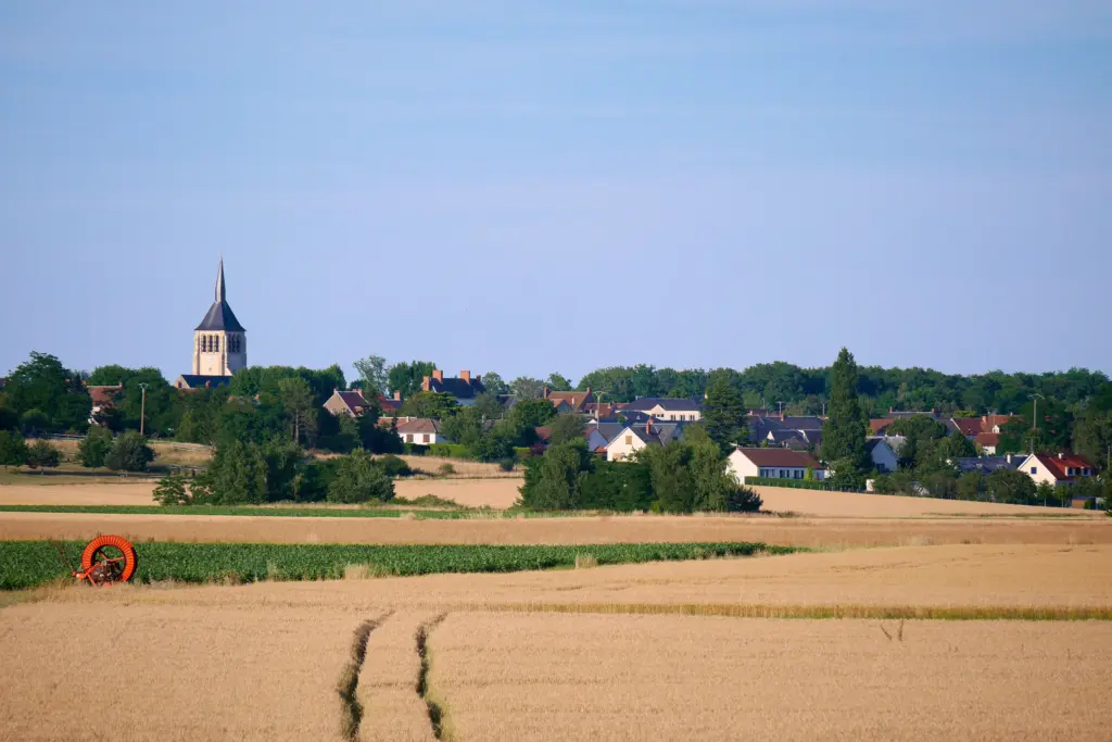 Mardié vu depuis les champs de blé, le clocher de l’église Saint-Martin au-dessus des maisons.